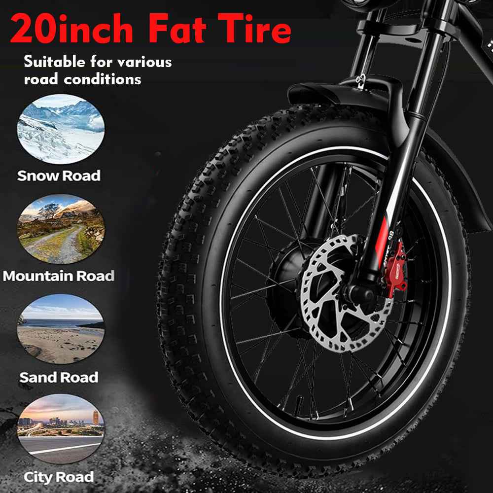 RocSec S8-Dual Electric Bike