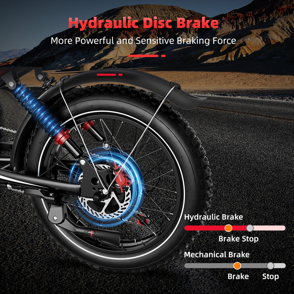 RocSec S8-Dual Electric Bike