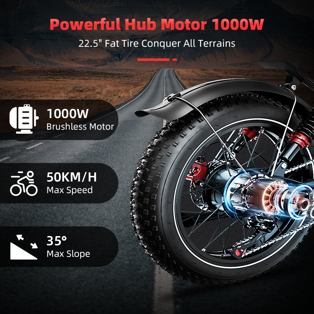 RocSec S8-Dual Electric Bike