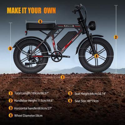 RocSec C200 Electric Bike
